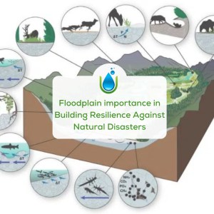 Floodplain-importance-in-Building-Resilience-Against-Natural-Disasters